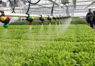 کشاورزی هوشمند در خدمت زنجیره صنعتی هوش مصنوعی چین