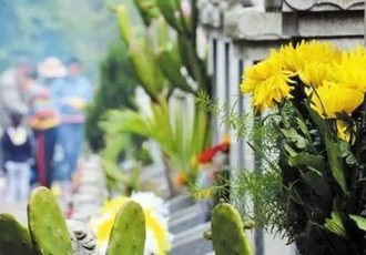 نگاهی به برگزاری سبزتر روز یادبود درگذشتگان در سراسر چین